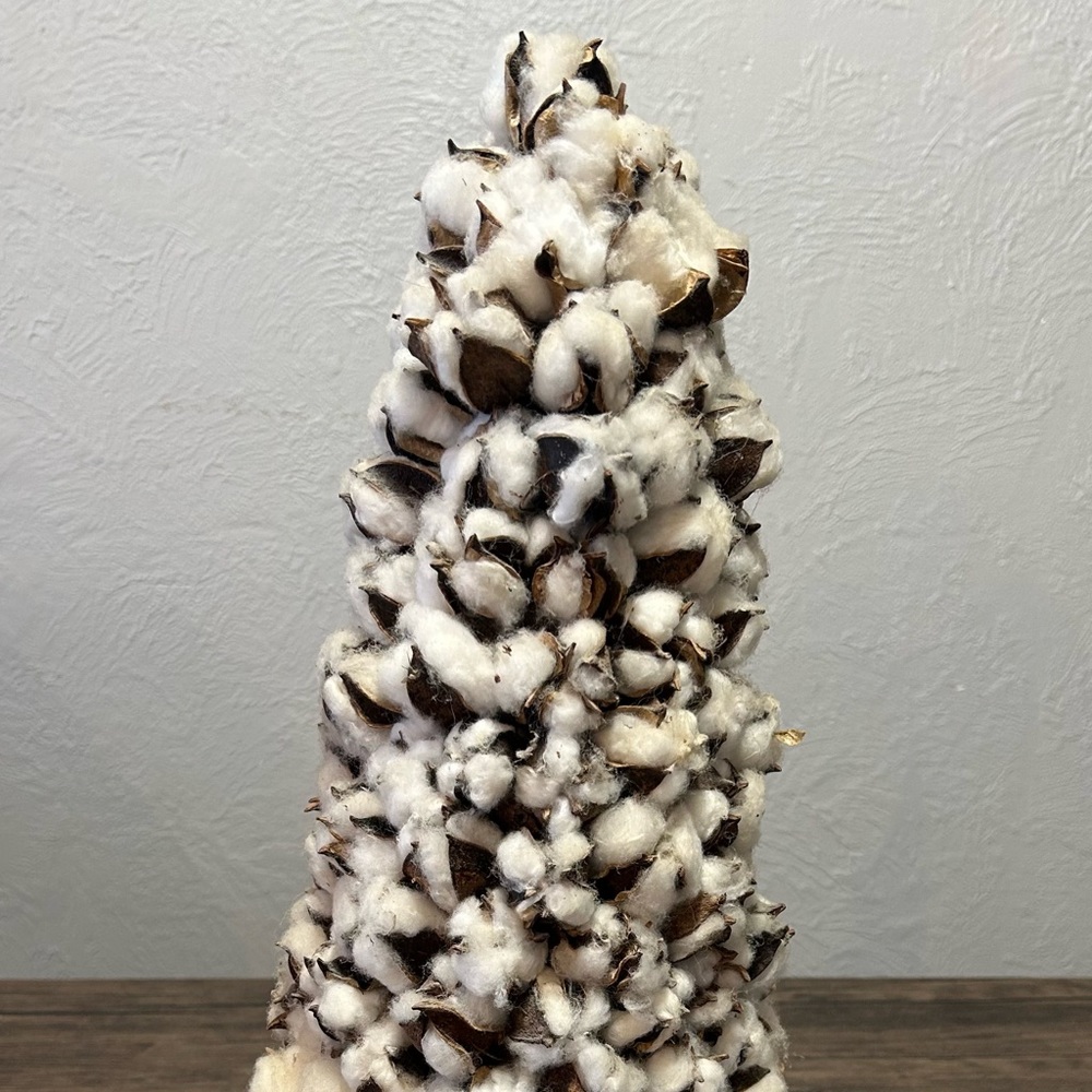 Cotton Tree